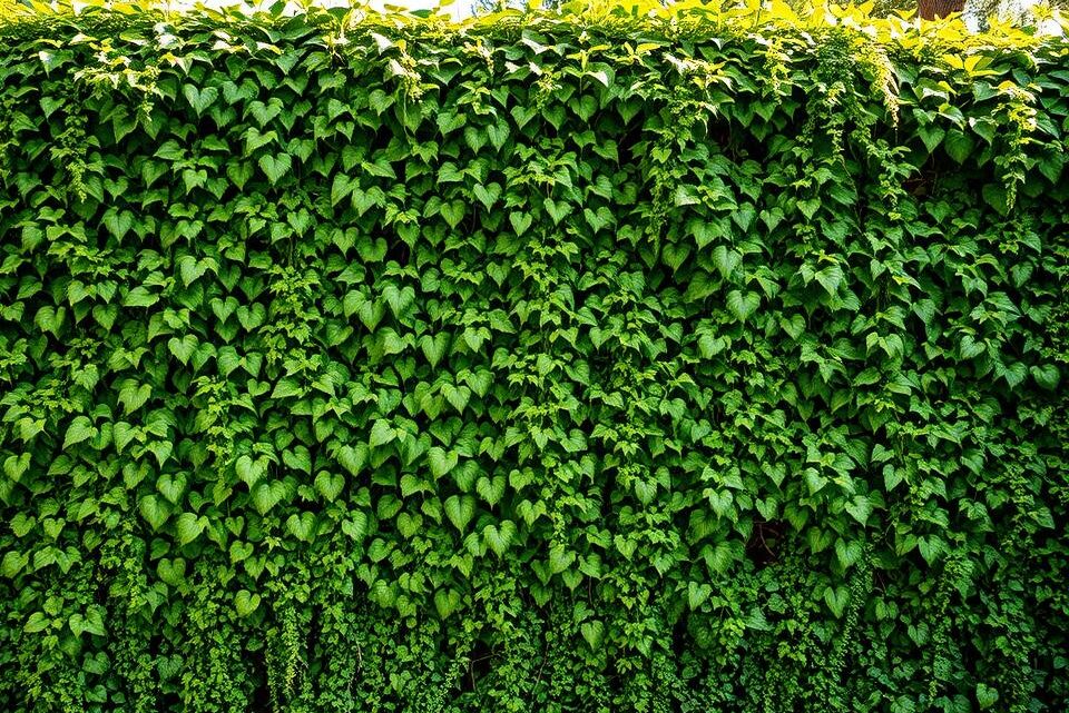 begrünten Wall als Abgrenzung nutzen